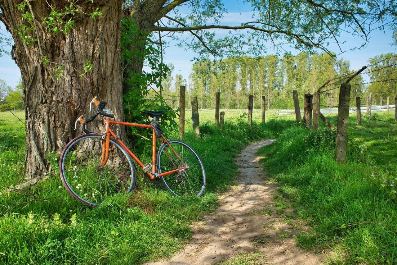 Larbrenville Gites Citadins En Centre-Ville Historique La Charite-sur-Loire Luaran gambar